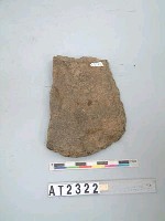 藏品(石斧)的圖片